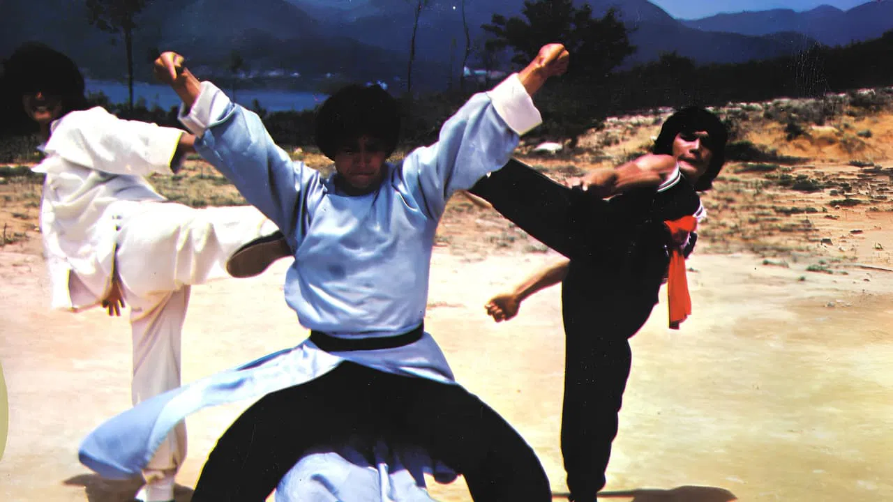 The Dragon The Hero (1979)