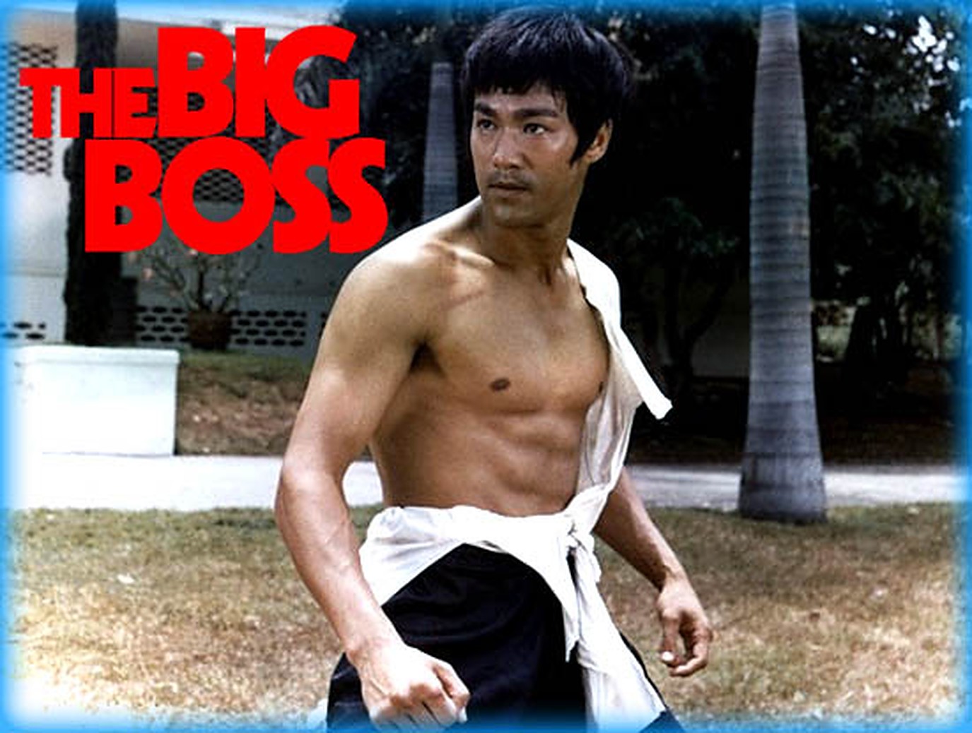 The Big Boss (1971)