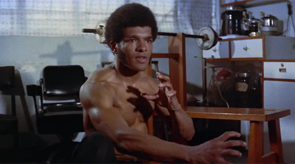 The Black Dragons Revenge (1975)