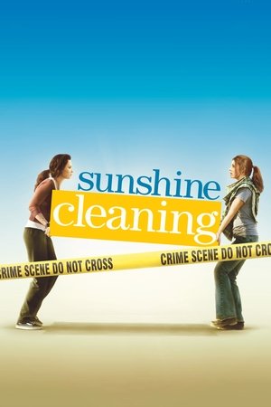 Sunshine Cleaning 2008