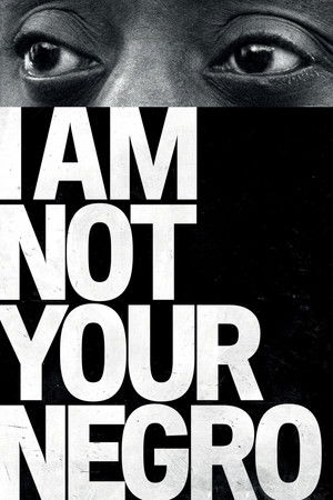 I Am Not Your Negro 2016